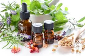ANN ARBOR SCHOOL OF MASSAGE, HERBAL & NATURAL MEDICINE