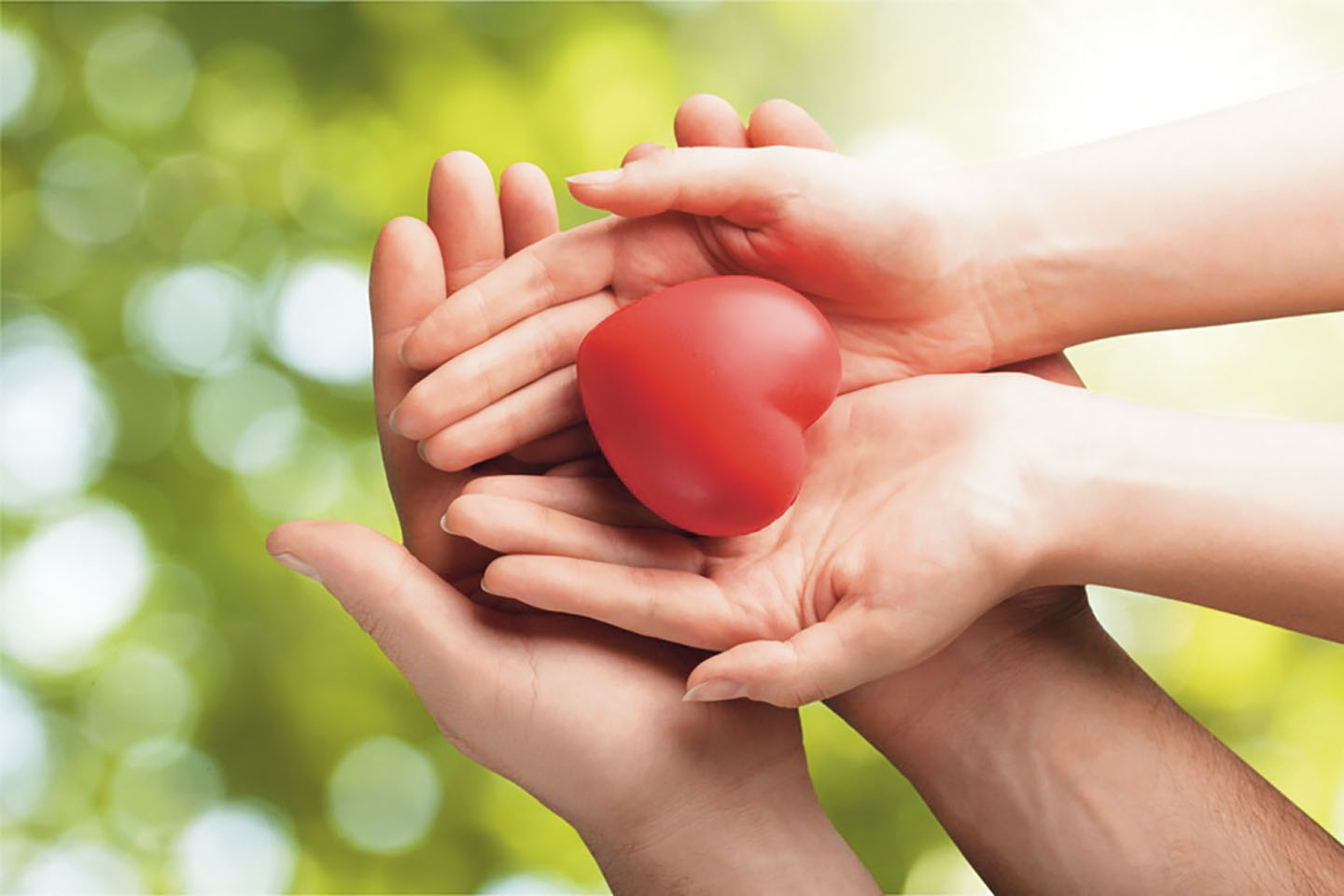 Be Brilliant! How Hospice Saved and Enhanced My Life by Angela Madaras