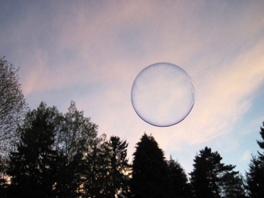 The Subtleties of Intuition by Amy Garber