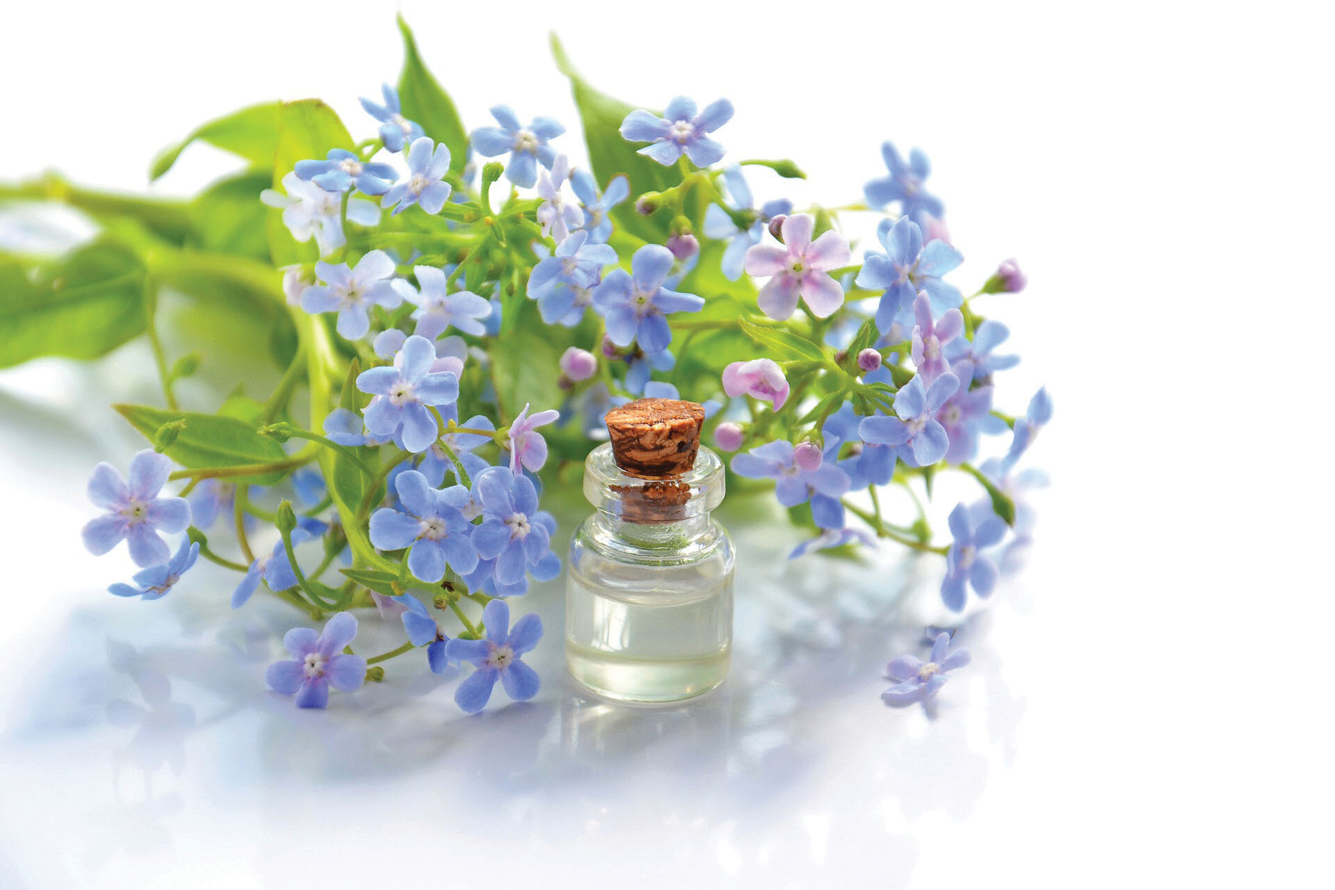 Essential Oils: More Than Just Pretty Aromas