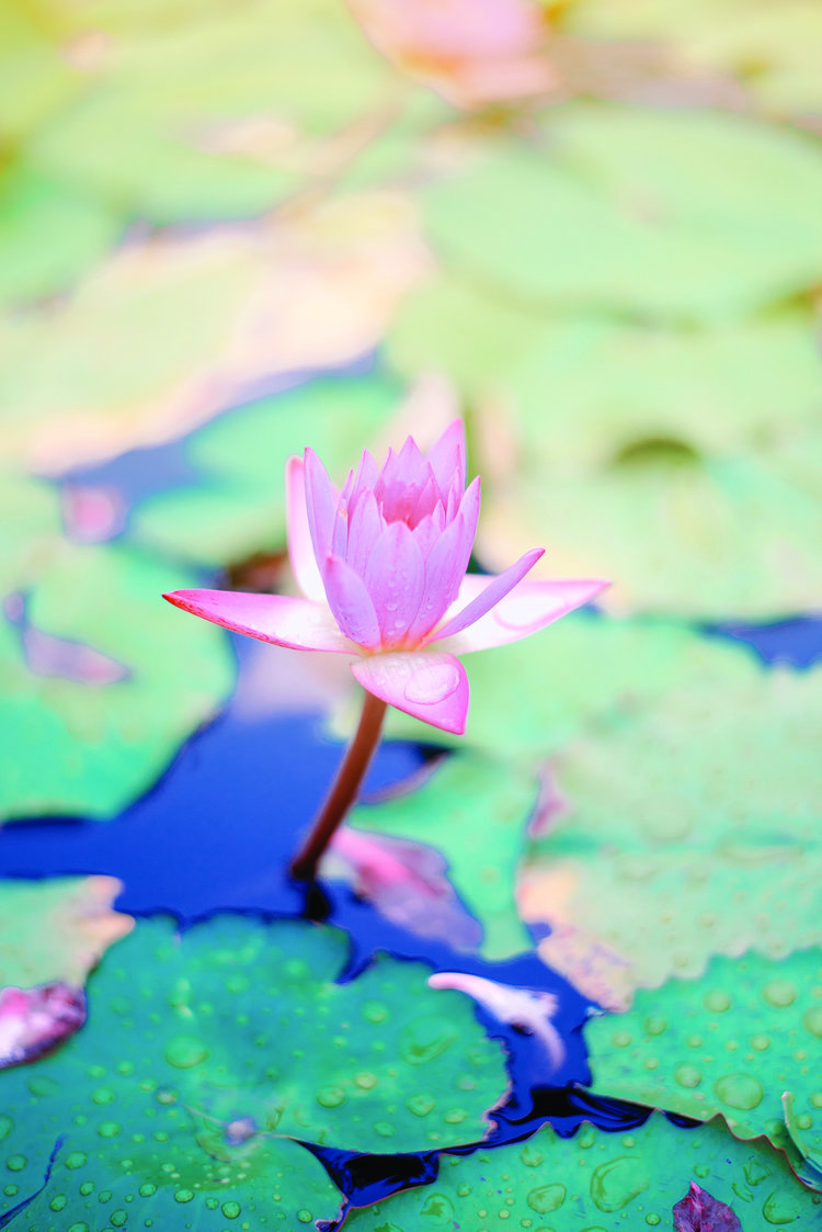 Reflective-Meditation-for-Worriers
