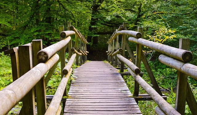 Finding Wellness Through Your Spiritual anatomy